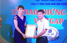 Công ty Hòa Phước nhận Giấy chứng nhận VietGap  
